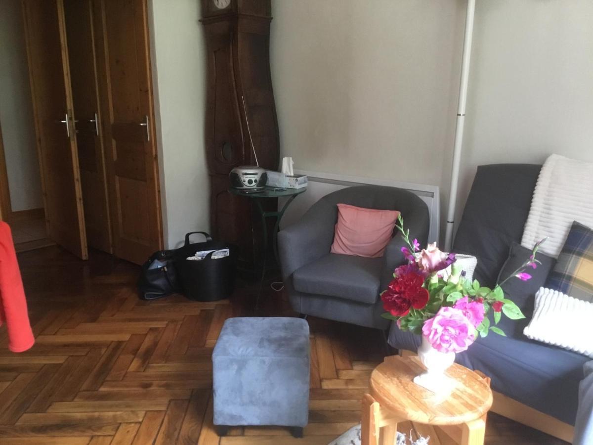 Appartement Typique,Chaleureux Et Pratique 霞慕尼 外观 照片